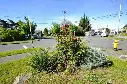 1414 SW Cambridge Street #1-4, Seattle, WA 98106