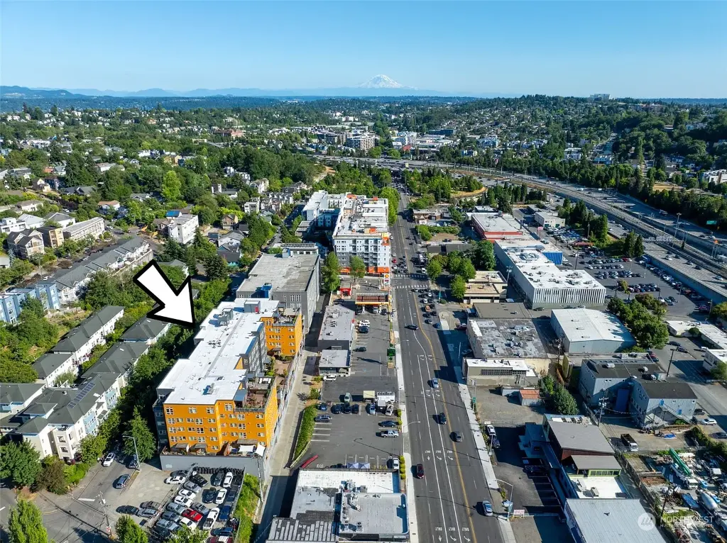 827 Hiawatha Place S UNIT 312, Seattle, WA 98144 