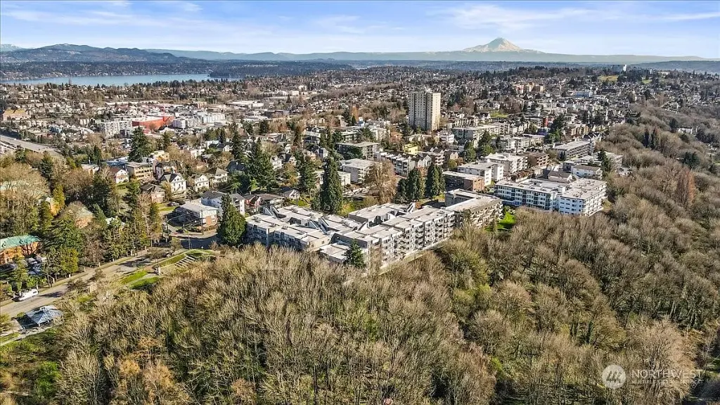 1311 12th Avenue S UNIT C102, Seattle, WA 98144 