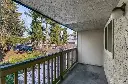 8911 Holly Drive UNIT 207, Everett, WA 98208 