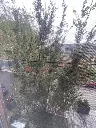 116 W 15th St #206, Cincinnati, OH 45202 