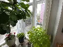 116 W 15th St #206, Cincinnati, OH 45202 