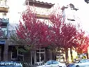 600 NW 87th St UNIT 209, Seattle, WA 98103 